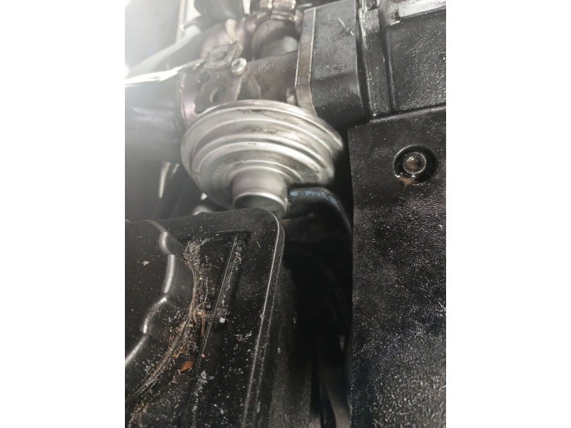 Recambio de valvula egr para bmw serie 3 berlina (e46) 320d referencia OEM IAM 72252302  