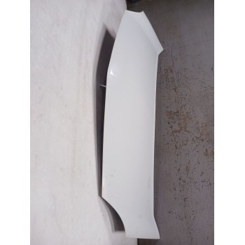 Recambio de capot para renault kangoo express (fw0/1_) 1.5 dci 85 (fw0k, fw0l, fw0b) referencia OEM IAM   