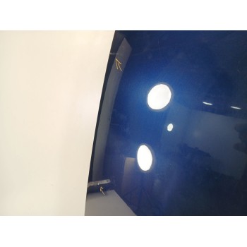 Recambio de capot para bmw x3 (e83) 2.0 16v diesel cat referencia OEM IAM   