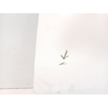 Recambio de capot para citroën jumper iii furgoneta 2.2 hdi 120 referencia OEM IAM   