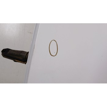 Recambio de puerta trasera izquierda para mini mini countryman (r60) cooper d referencia OEM IAM 41009805929  