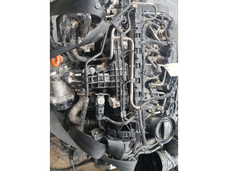 Recambio de motor completo para volkswagen golf vi variant (aj5) 1.6 tdi referencia OEM IAM CAY B 