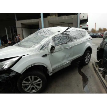 ford kuga (cbs) del año 2019