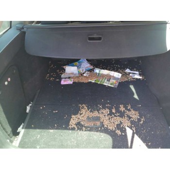 volkswagen golf vi variant (aj5) del año 2009