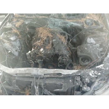 bmw serie 3 touring (e91) del año 2011