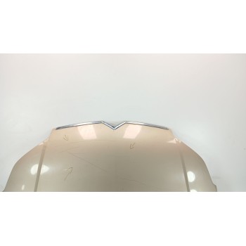 Recambio de capot para citroën c5 berlina exclusive referencia OEM IAM  DORADO 