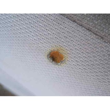 ford fiesta berlina del año 1996