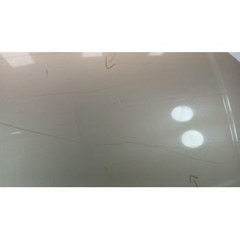 Recambio de capot para citroën c5 berlina exclusive referencia OEM IAM  DORADO 