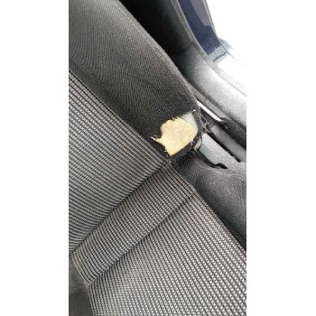 volkswagen golf iv berlina (1j1) del año 1999