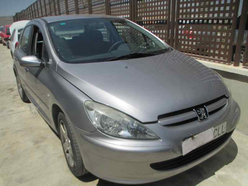 PEUGEOT 307 (S1)