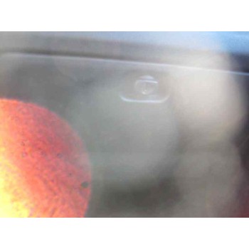 peugeot 306 berlina 3/4/5 puertas (s2) del año 2000