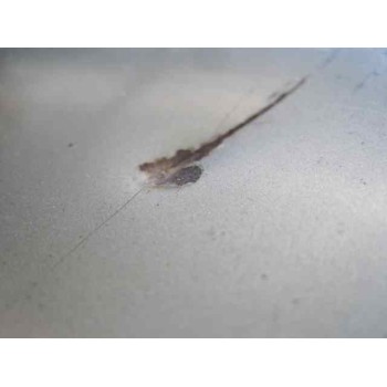 kia carnival ii del año 2002