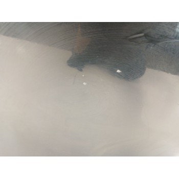 Recambio de puerta delantera izquierda para audi a5 (8t3) 2.7 tdi referencia OEM IAM 8T0831051C  