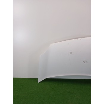 Recambio de capot para renault kangoo 1.5 dci diesel referencia OEM IAM 651003220R  