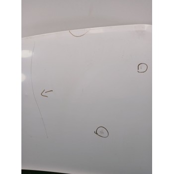 Recambio de capot para renault kangoo 1.5 dci diesel referencia OEM IAM 651003220R  