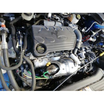 ford focus del año 2019