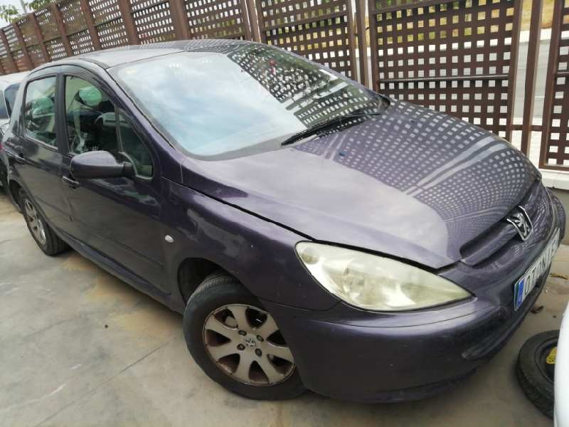 PEUGEOT 307 (S1)