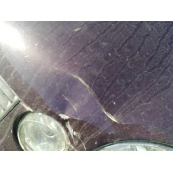 volkswagen polo (9n1) del año 2004