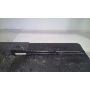 AMORTIGUADORES MALETERO / PORTON 