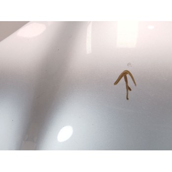 Recambio de capot para mercedes-benz clase m (w163) ml 270 cdi (163.113) referencia OEM IAM A1638800157  