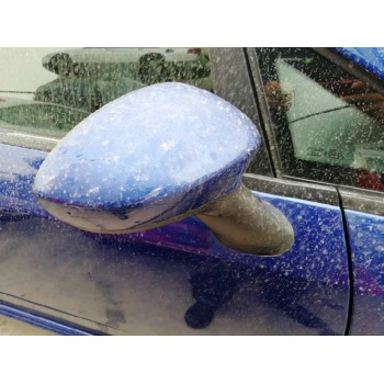 fiat punto (evo) (199) del año 2008