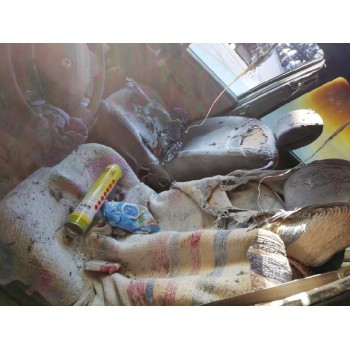 renault scenic (ja..) del año 2002