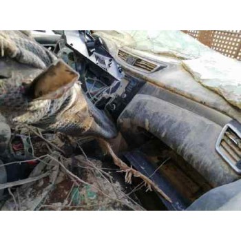 nissan qashqai (j11) del año 2019