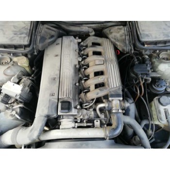 bmw serie 5 berlina (e39) del año 2003