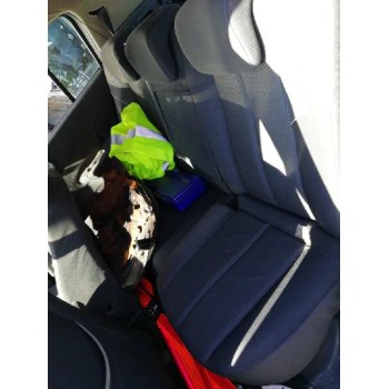 renault megane ii berlina 5p del año 2004