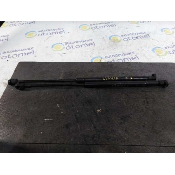 AMORTIGUADORES MALETERO / PORTON 50 CM 393 N