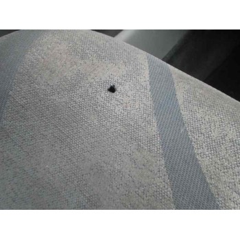 renault kangoo (f/kc0) del año 2002