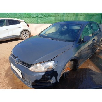 volkswagen golf vii (5g1, bq1, be1, be2) del año 2013