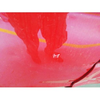 ford fiesta (cb1) del año 2010