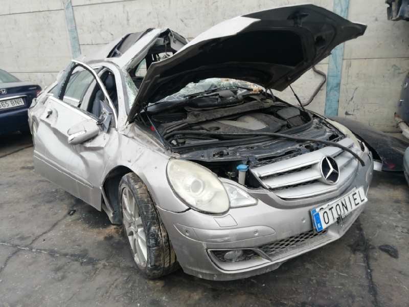 MERCEDES-BENZ CLASE R (W251)