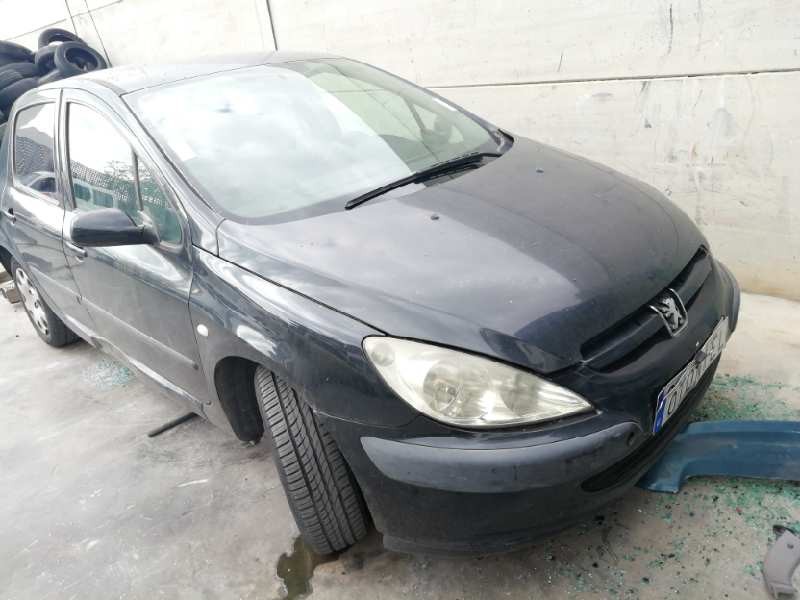 PEUGEOT 307 (S1)