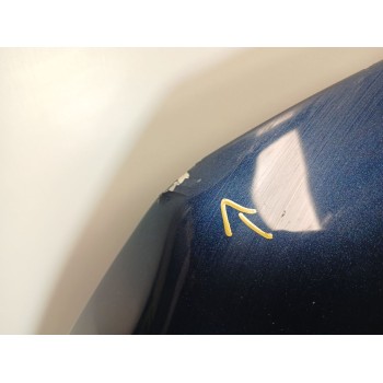 Recambio de capot para land rover discovery iv (l319) 3.0 td 4x4 referencia OEM IAM BKA780040  