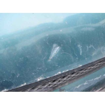 ford focus berlina (cak) del año 2001