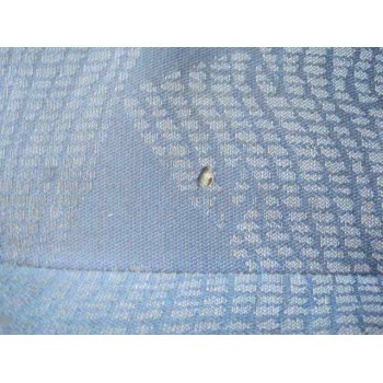 renault kangoo (f/kc0) del año 2001