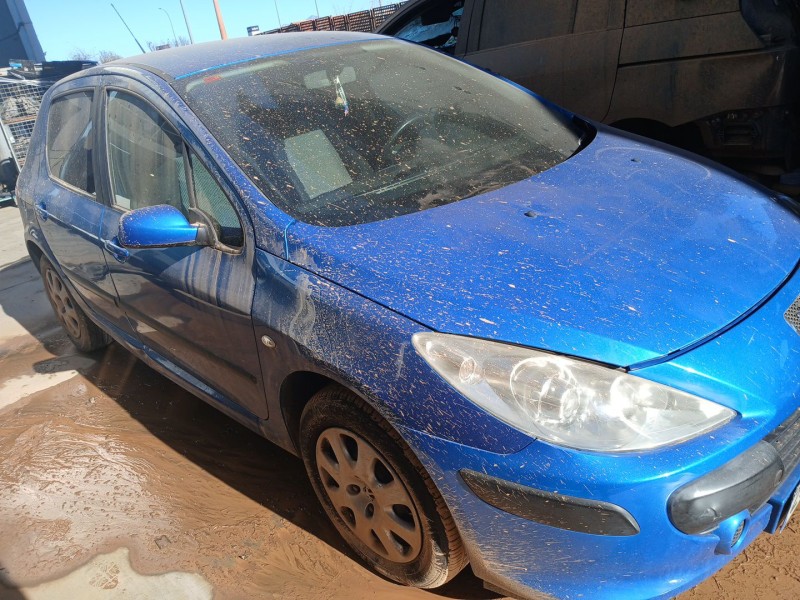 PEUGEOT 307 (3A/C)