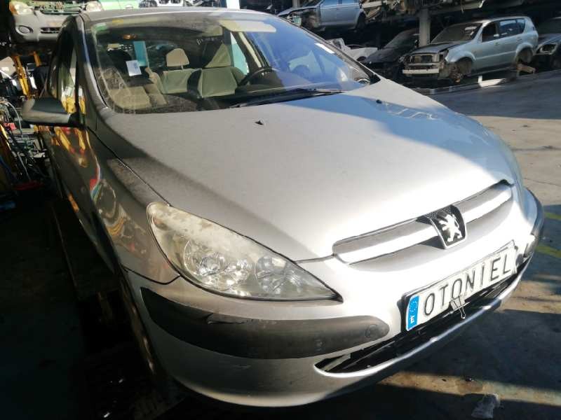 PEUGEOT 307 (S1)
