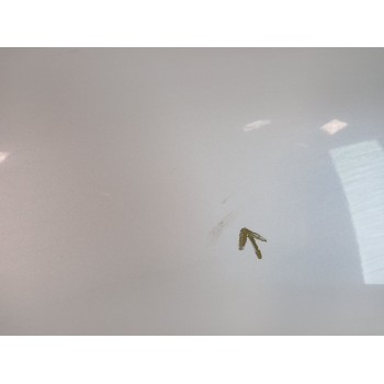 Recambio de puerta trasera izquierda para mazda 3 sedán (bm_, bn_) 2.2 d referencia OEM IAM BJY07302XF  