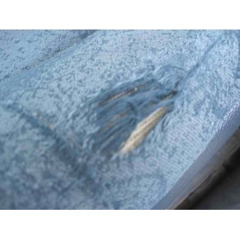 renault kangoo (f/kc0) del año 1999