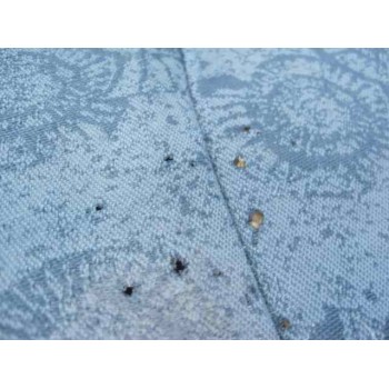 renault kangoo (f/kc0) del año 1999