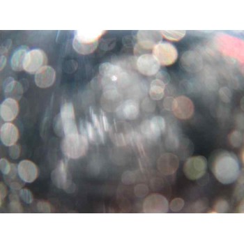 citroën berlingo del año 2008