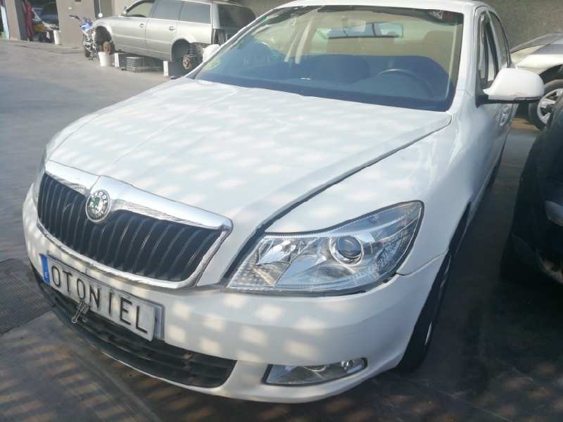 SKODA OCTAVIA BERLINA (1Z3)