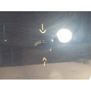 Recambio de puerta trasera derecha para land rover discovery iv (l319) 3.0 td 4x4 referencia OEM IAM BFA780180  