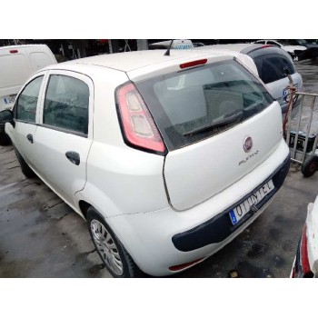 fiat punto (evo) (199) del año 2011