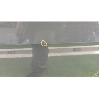 Recambio de puerta trasera derecha para volkswagen golf vii (5g1, bq1, be1, be2) 1.6 tdi referencia OEM IAM 5G4833056AD  