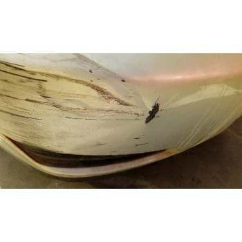 toyota corolla (e12) del año 2007