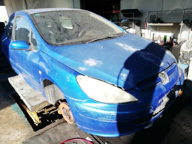 PEUGEOT 307 (S1)